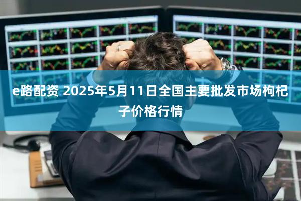 e路配资 2025年5月11日全国主要批发市场枸杞子价格行情