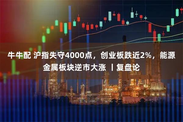 牛牛配 沪指失守4000点，创业板跌近2%，能源金属板块逆市大涨 丨复盘论